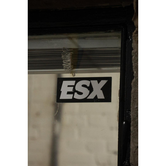 Наліпка "ESX"